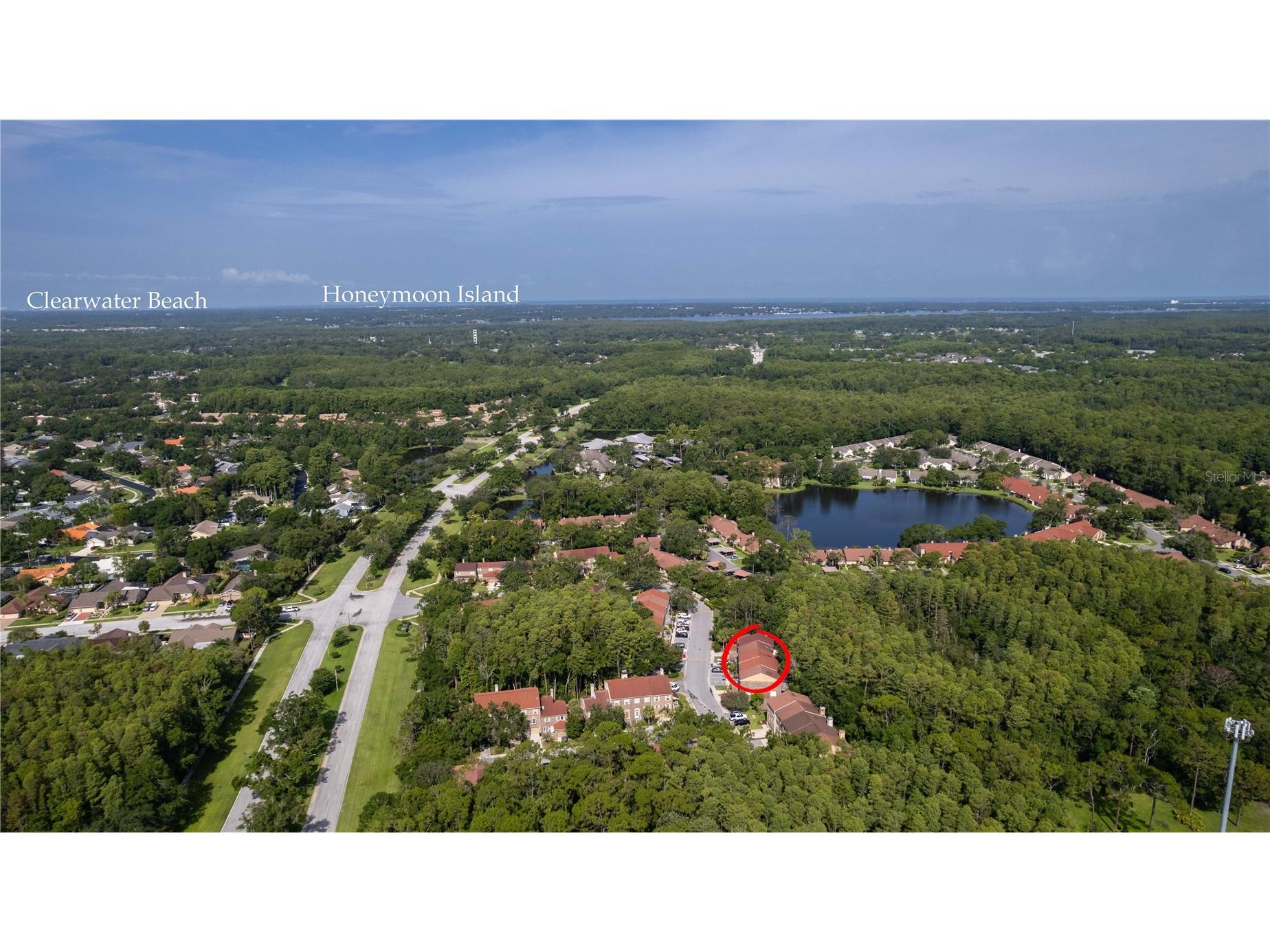 4117 Daventry Lane Palm Harbor FL 34685 TB8402978 image83