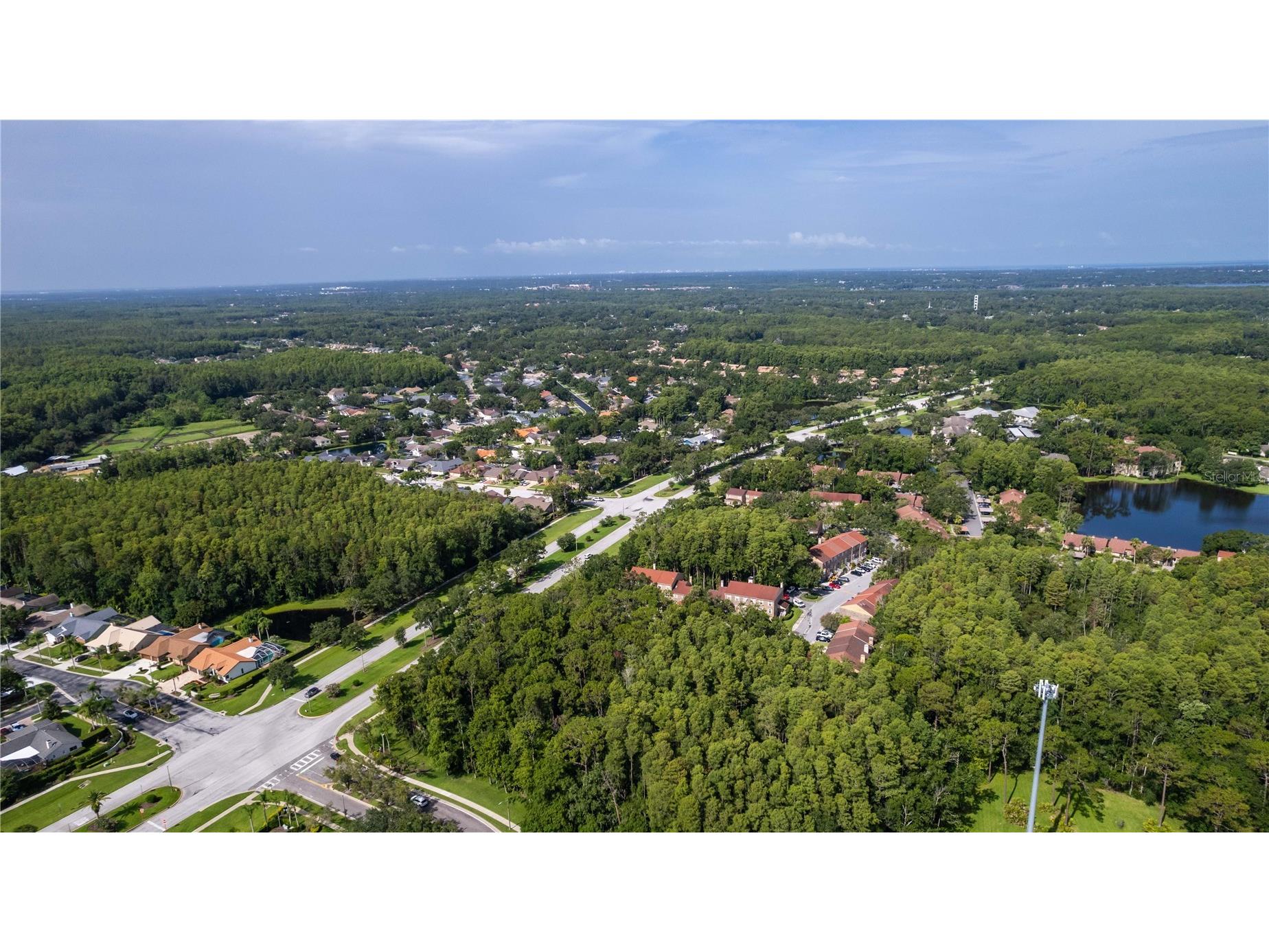 4117 Daventry Lane Palm Harbor FL 34685 TB8402978 image84