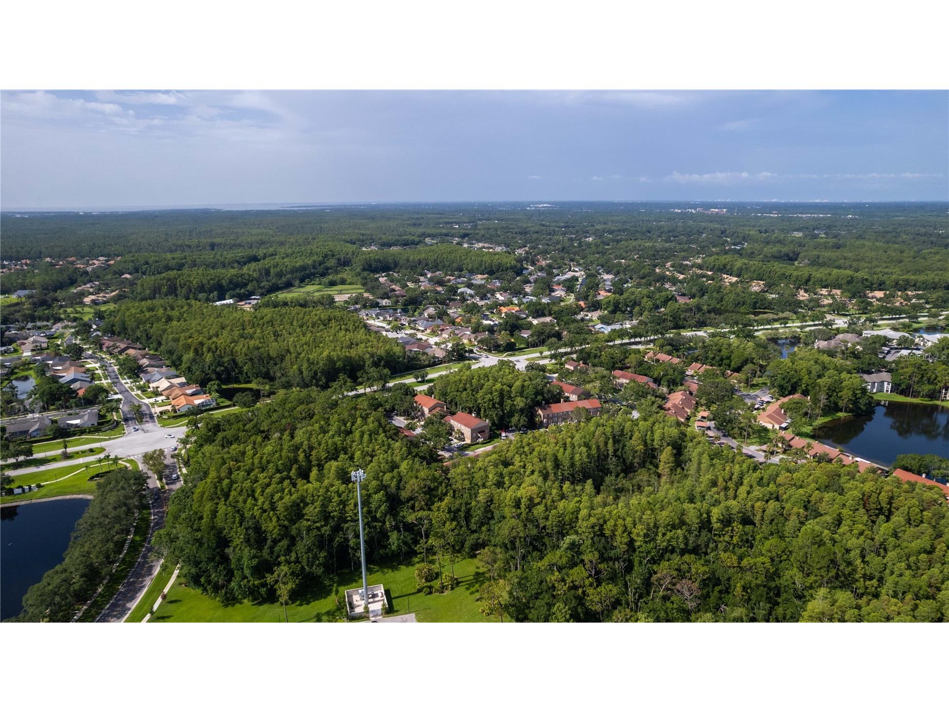 4117 Daventry Lane Palm Harbor FL 34685 TB8402978 image85