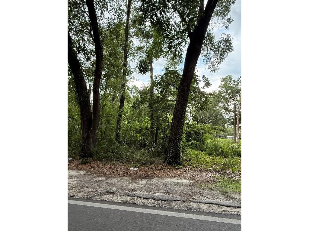 4117 Silver Lake Drive Palatka FL 32177 OM704066 image1