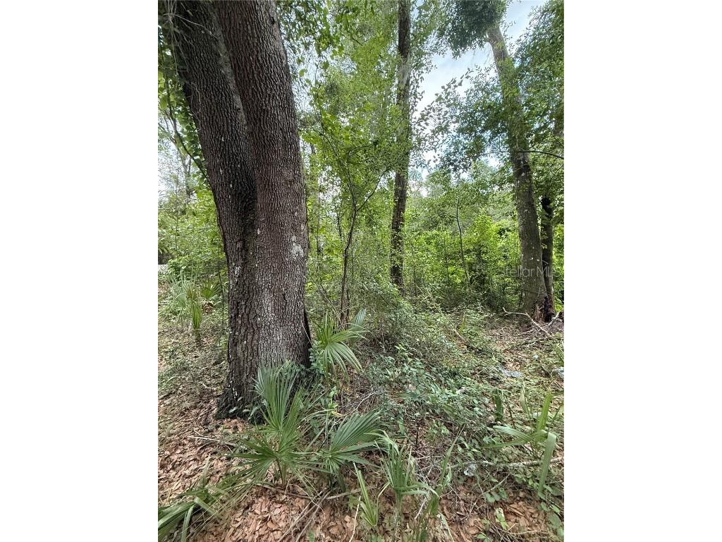 4117 Silver Lake Drive Palatka FL 32177 OM704066 image10