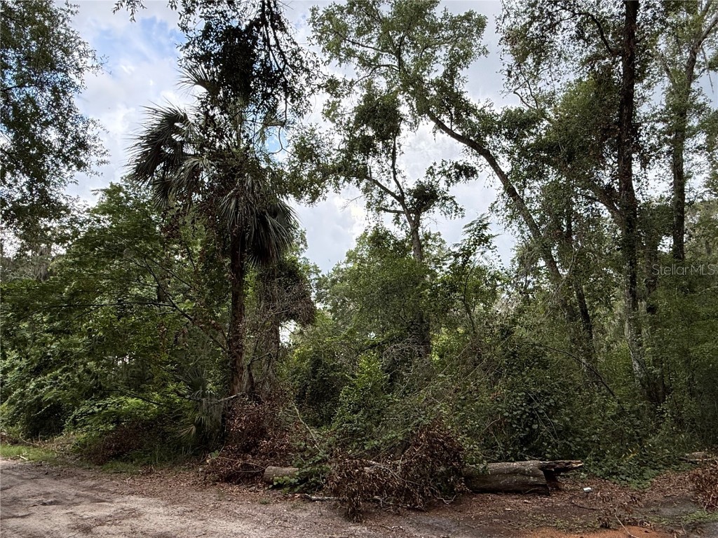 4117 Silver Lake Drive Palatka FL 32177 OM704066 image11