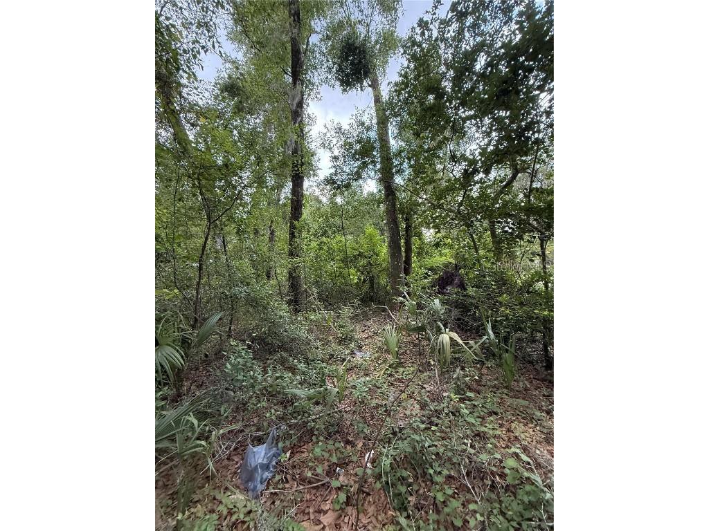 4117 Silver Lake Drive Palatka FL 32177 OM704066 image2