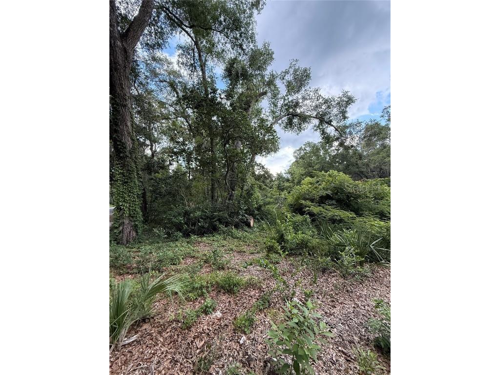 4117 Silver Lake Drive Palatka FL 32177 OM704066 image3