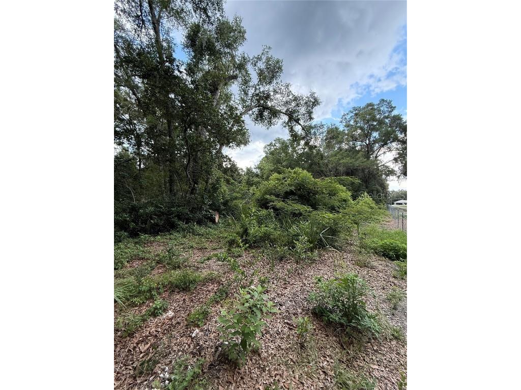 4117 Silver Lake Drive Palatka FL 32177 OM704066 image4