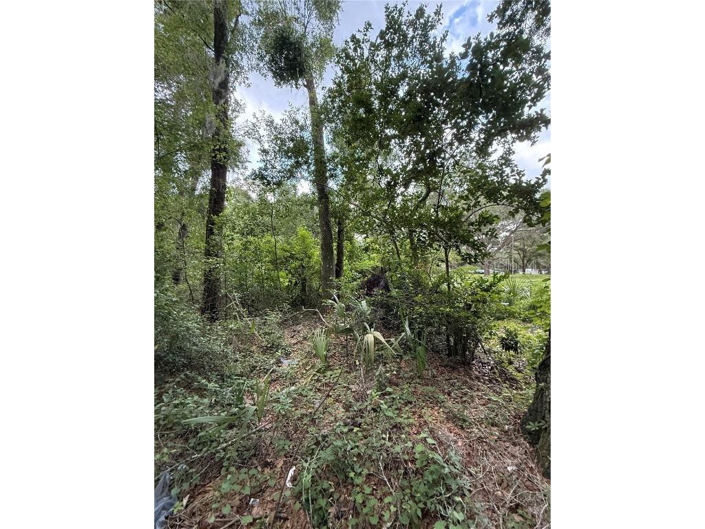 4117 Silver Lake Drive Palatka FL 32177 OM704066 image5