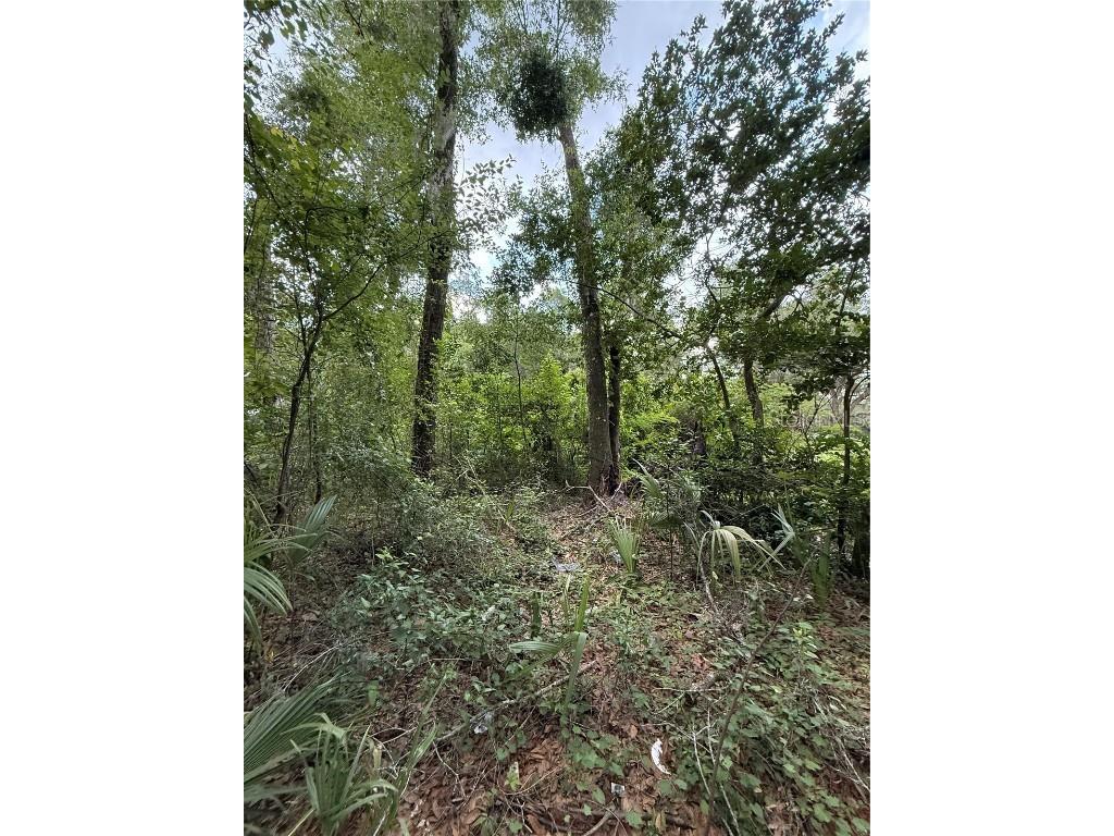 4117 Silver Lake Drive Palatka FL 32177 OM704066 image6