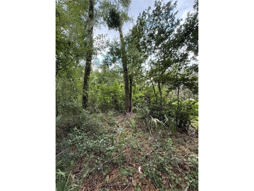 4117 Silver Lake Drive Palatka FL 32177 OM704066 image7