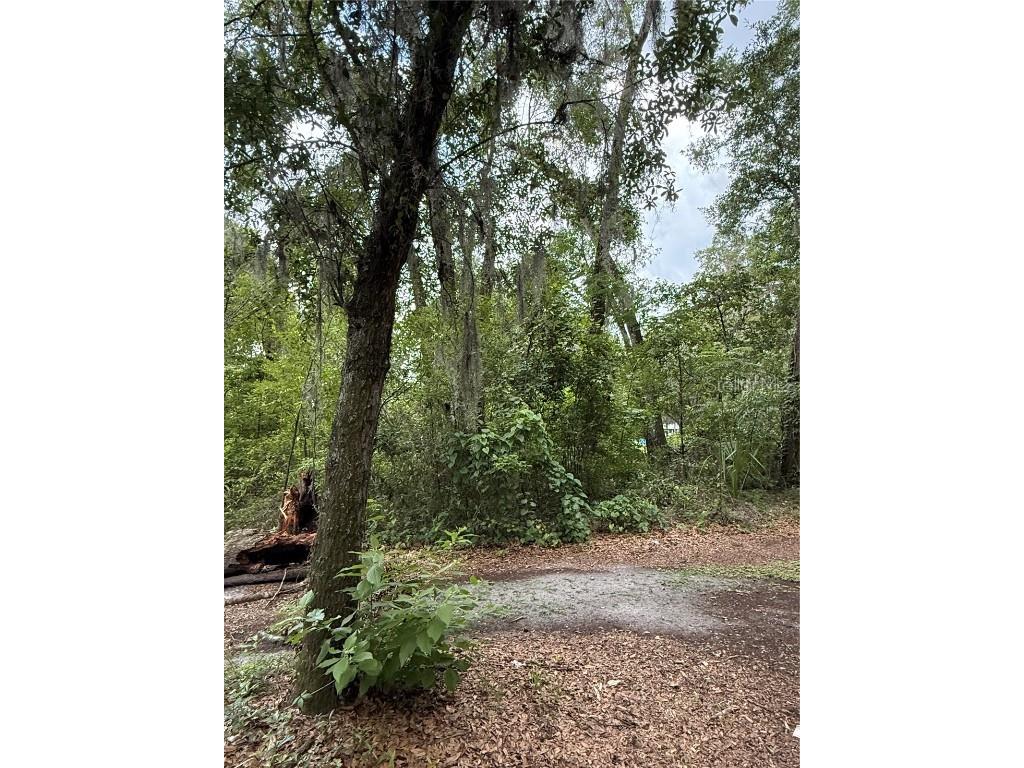 4117 Silver Lake Drive Palatka FL 32177 OM704066 image8