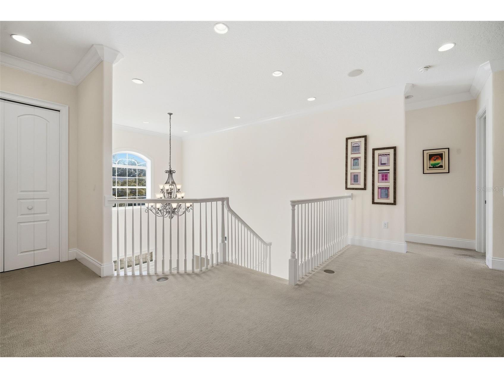 4117 W Azeele Street Tampa FL 33609 TB8479797 image16