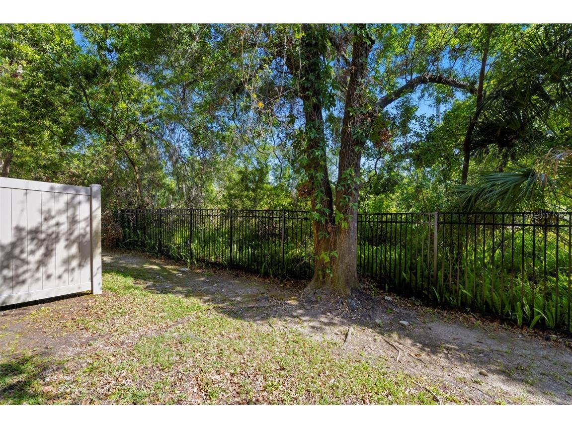 4118 Gauge Line Loop Tampa FL 33624 TB8462236 image26