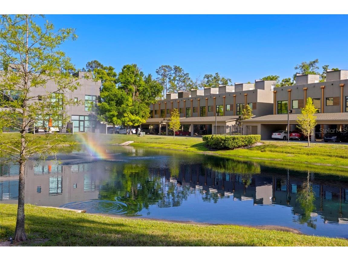 4118 Gauge Line Loop Tampa FL 33624 TB8462236 image28