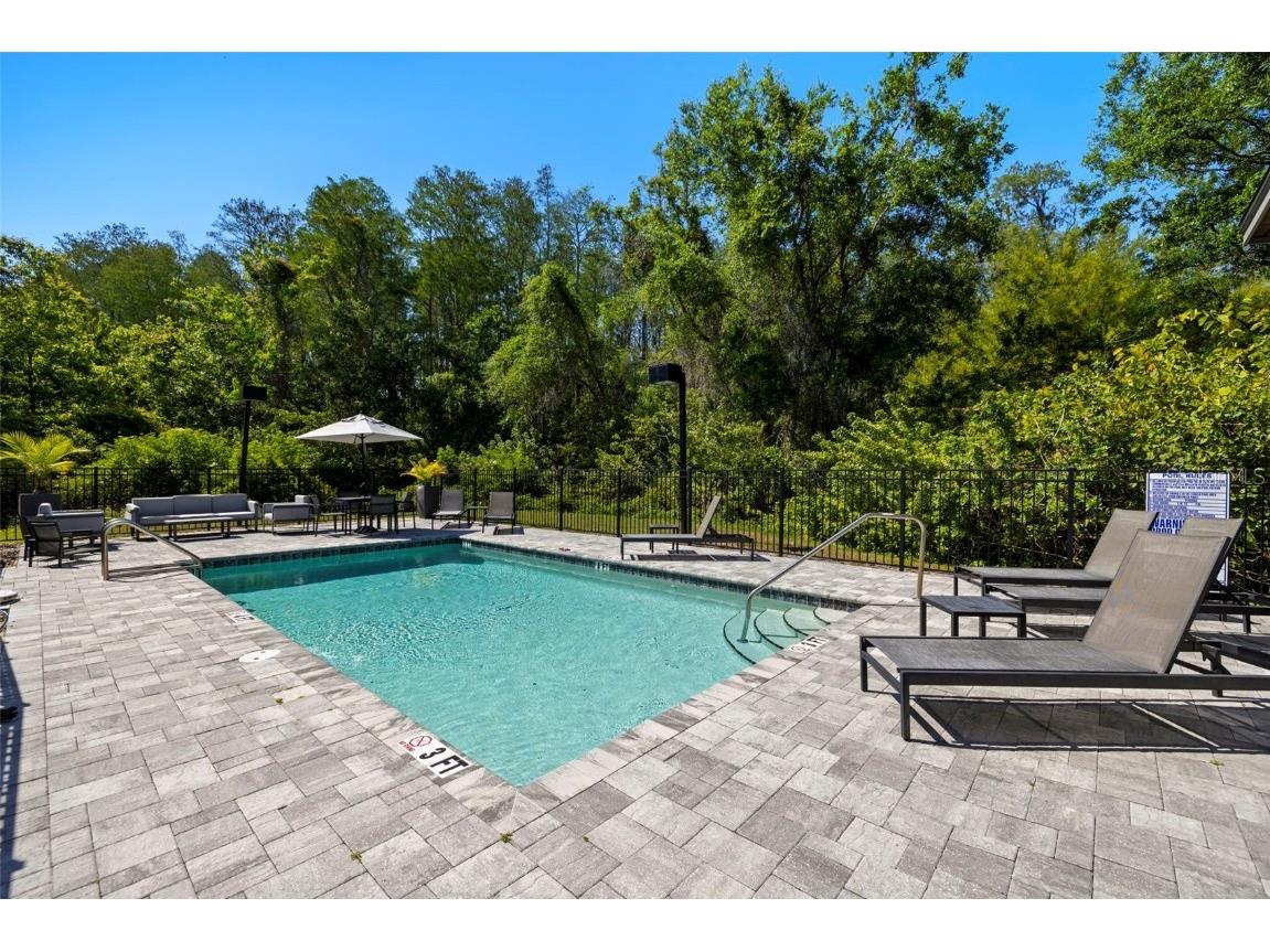 4118 Gauge Line Loop Tampa FL 33624 TB8462236 image32