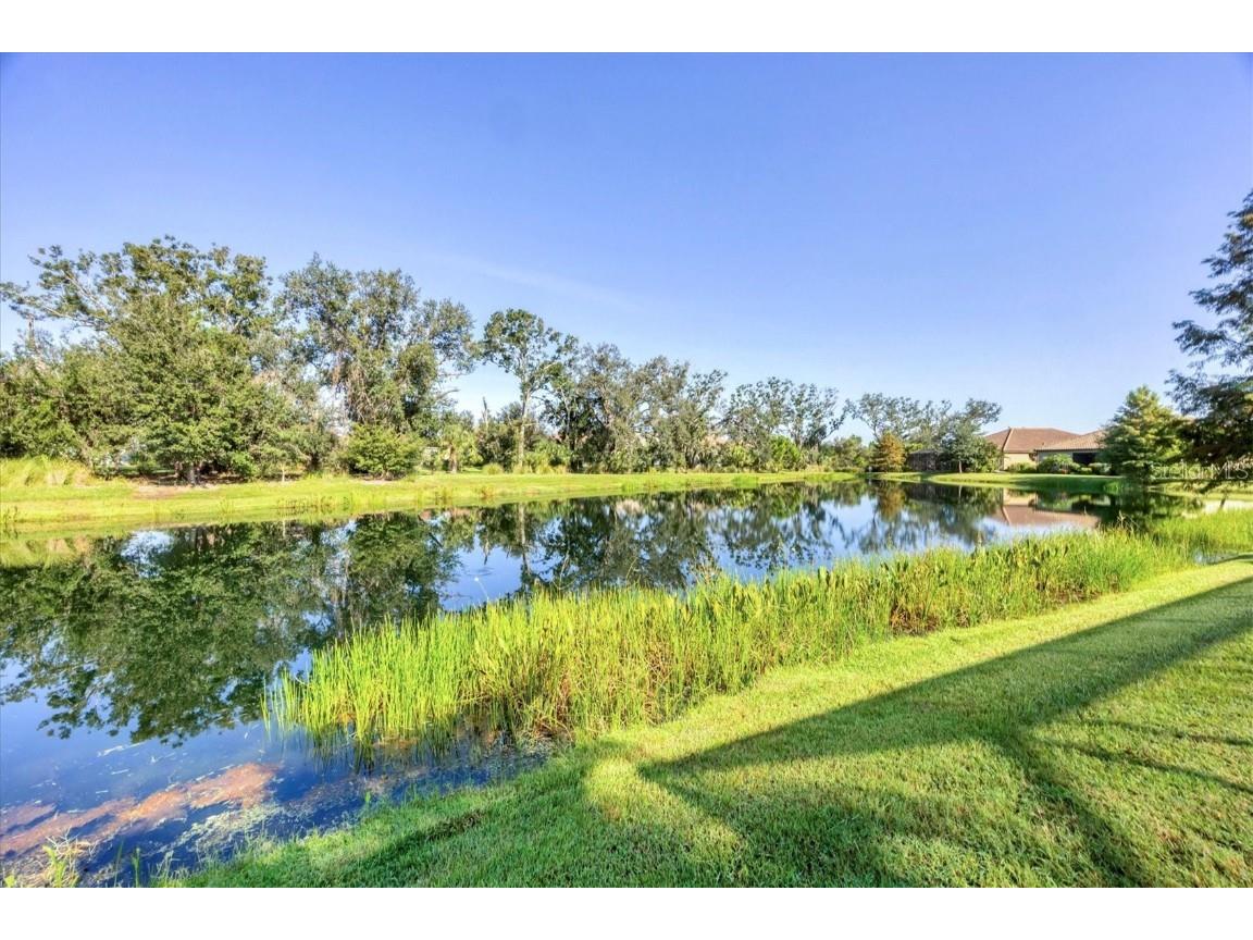 4118 Midnight Blue Run Bradenton FL 34211 A4659557 image53