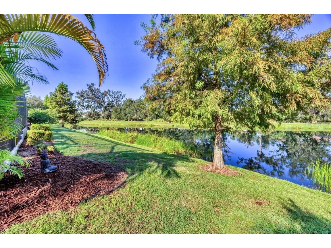 4118 Midnight Blue Run Bradenton FL 34211 A4659557 image54