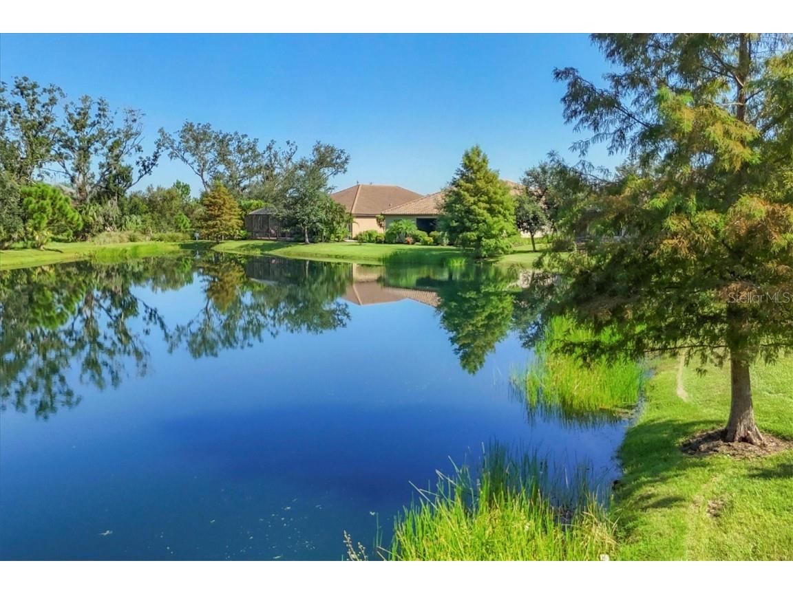 4118 Midnight Blue Run Bradenton FL 34211 A4659557 image56