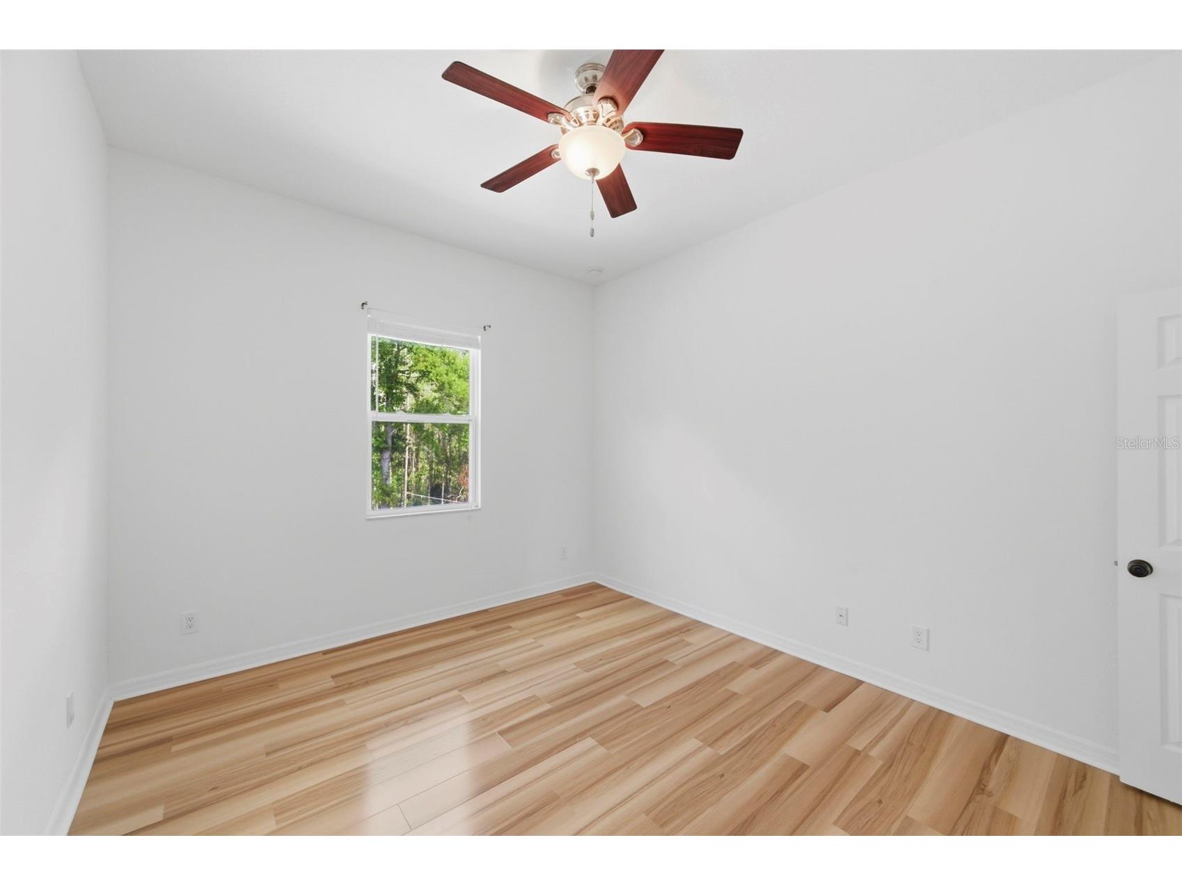 4118 Woodacre Lane Tampa FL 33624 TB8494858 image36