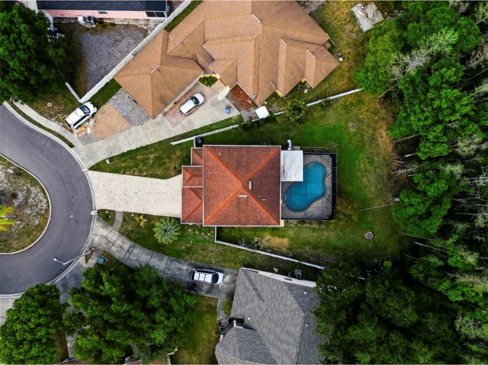 4118 Woodacre Lane Tampa FL 33624 TB8494858 image55