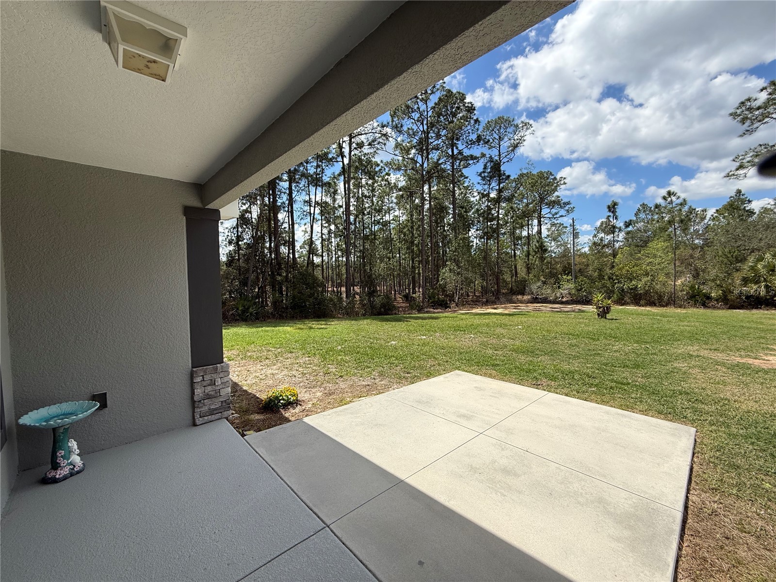 41180 Balsam Street Eustis FL 32736 - LAKE NORRIS G5109934 image36