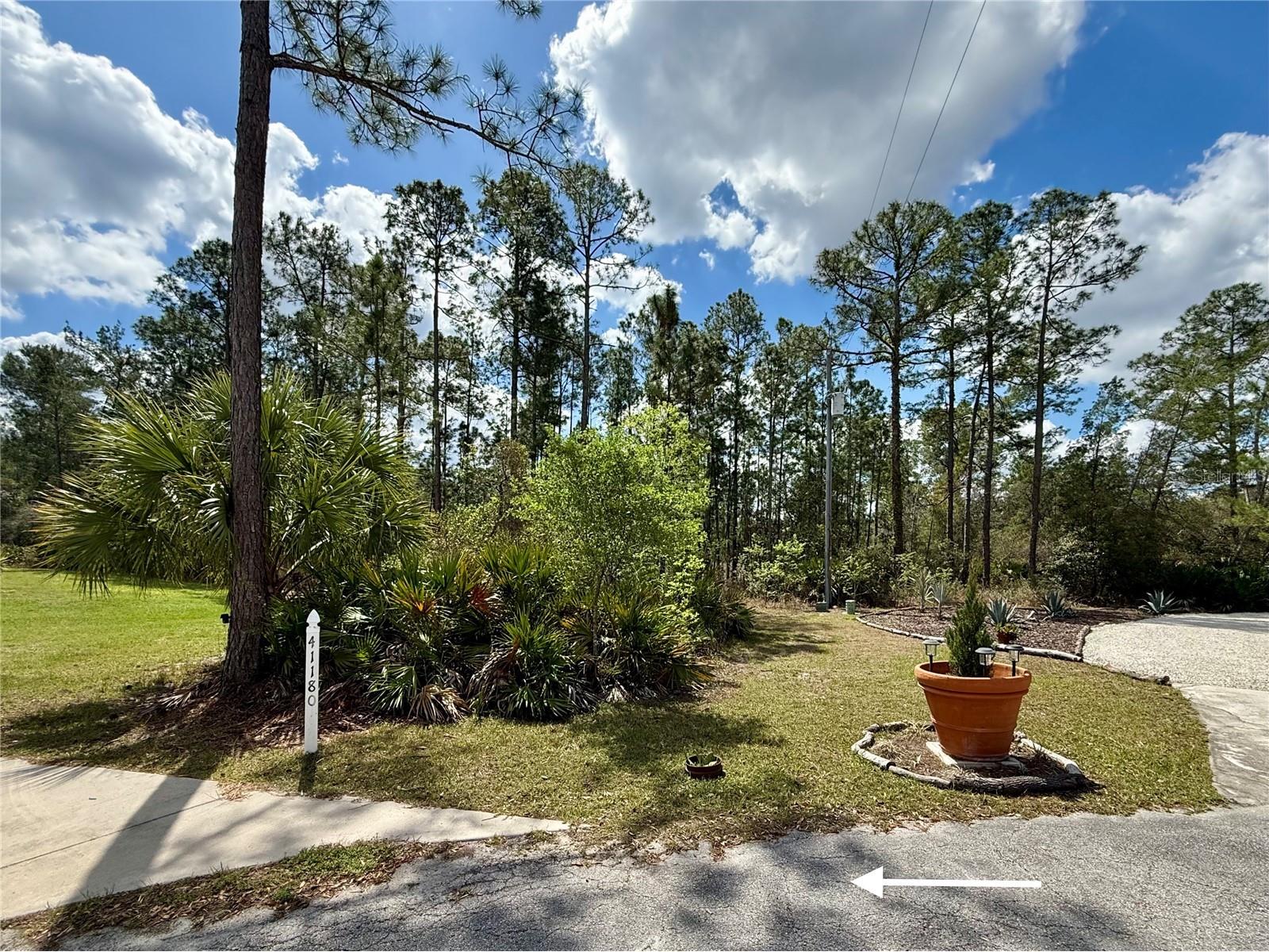 41180 Balsam Street Eustis FL 32736 - LAKE NORRIS G5109934 image37