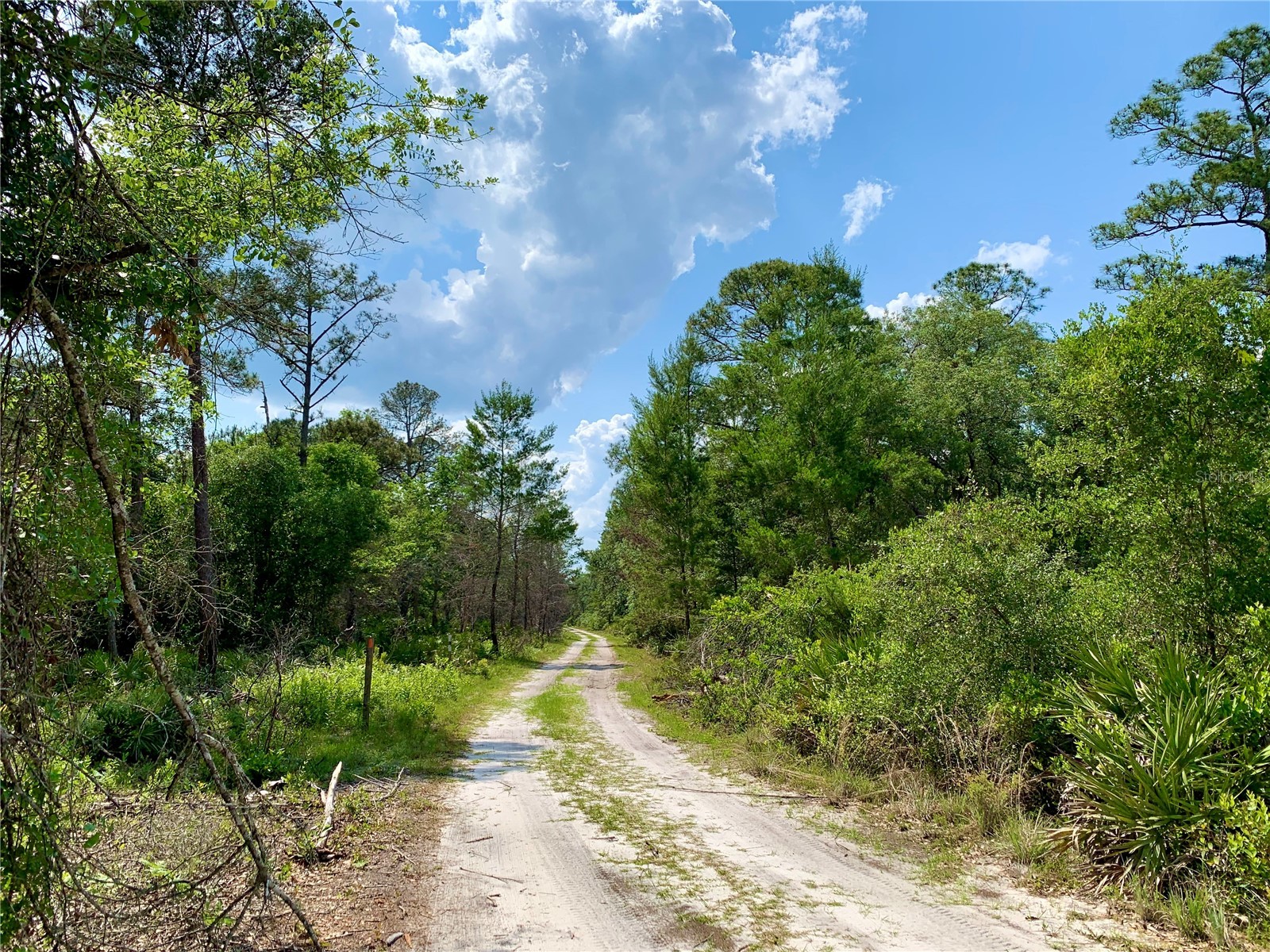 41180 Balsam Street Eustis FL 32736 - LAKE NORRIS G5109934 image52