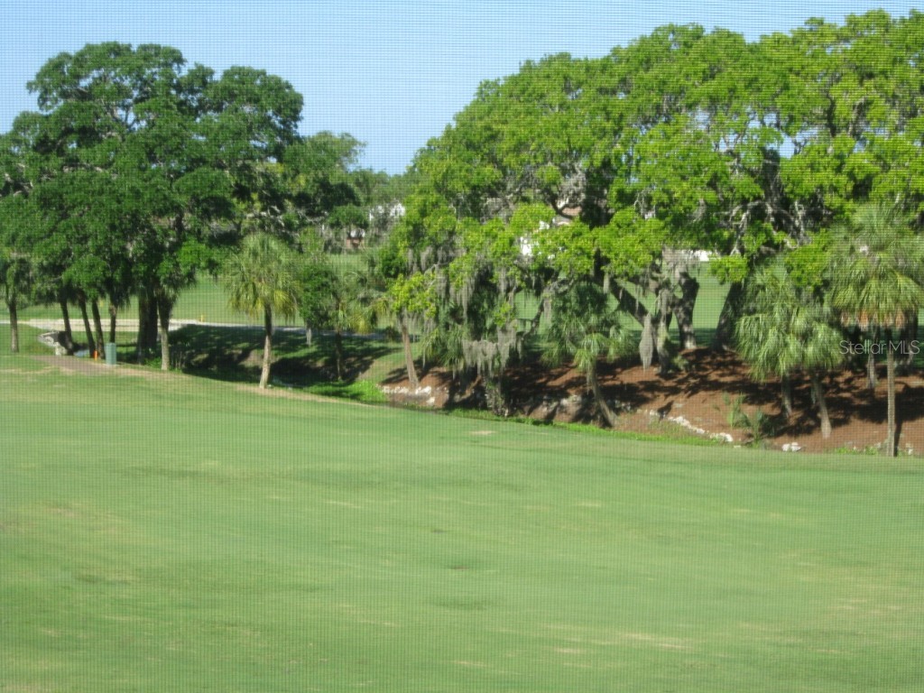 4119 61st Avenue Terrace W #303 Bradenton FL 34210 A4661251 image19