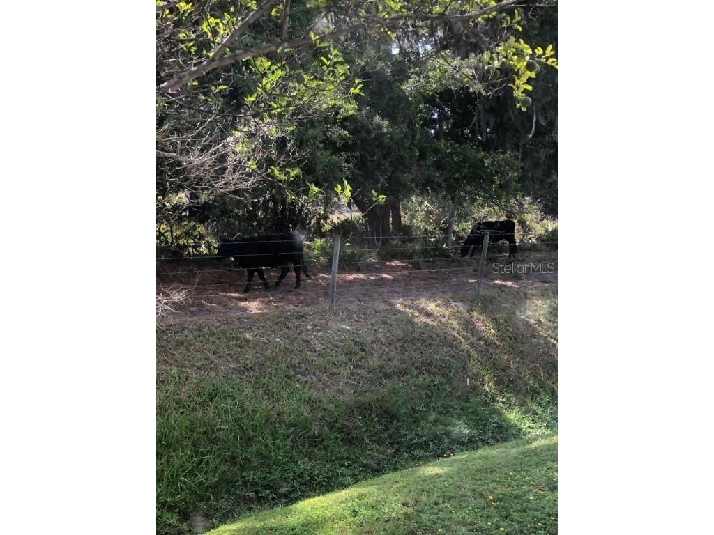 4119 Rolling Oaks Drive Winter Haven FL 33880 L4945333 image41