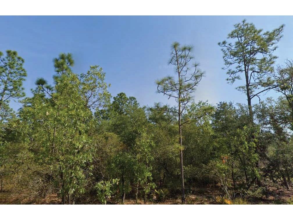 4119 W Firewood Loop Dunnellon FL 34433 O6288456 image1