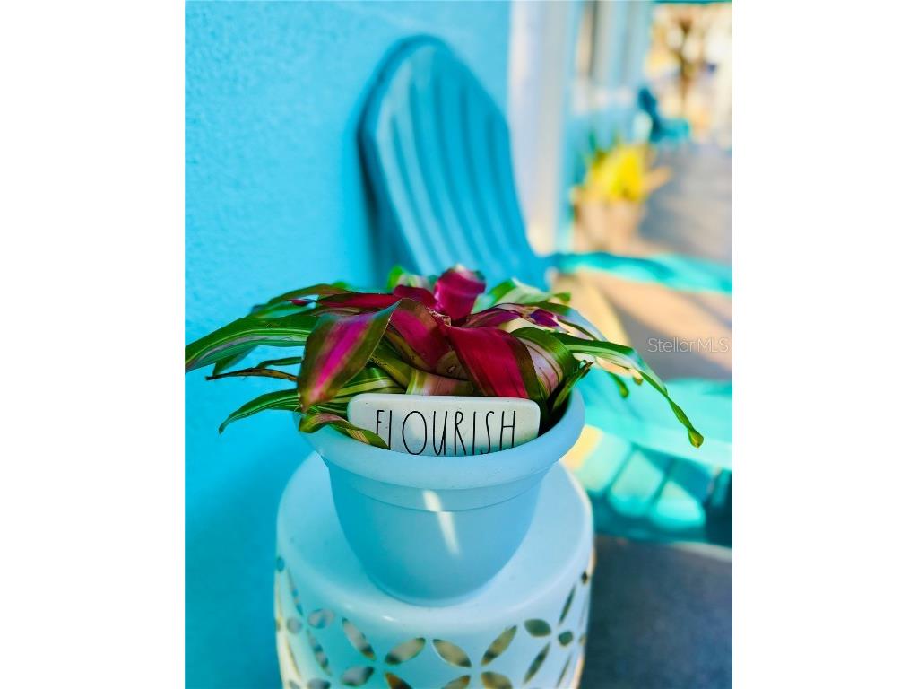 412 73rd Avenue Saint Pete Beach FL 33706 TB8430042 image9