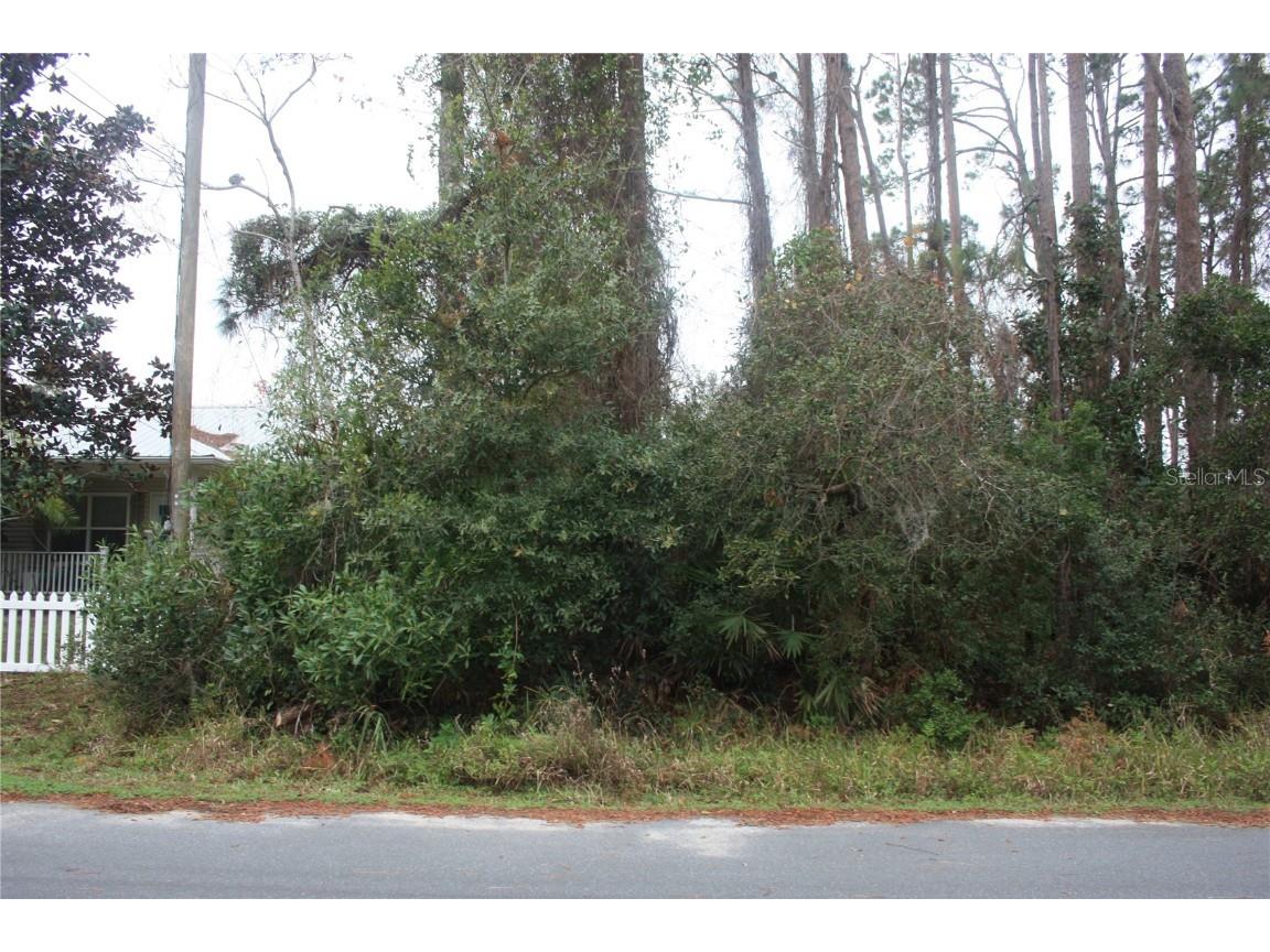 412 Bryan Street Flagler Beach FL 32136 FC307481 image1