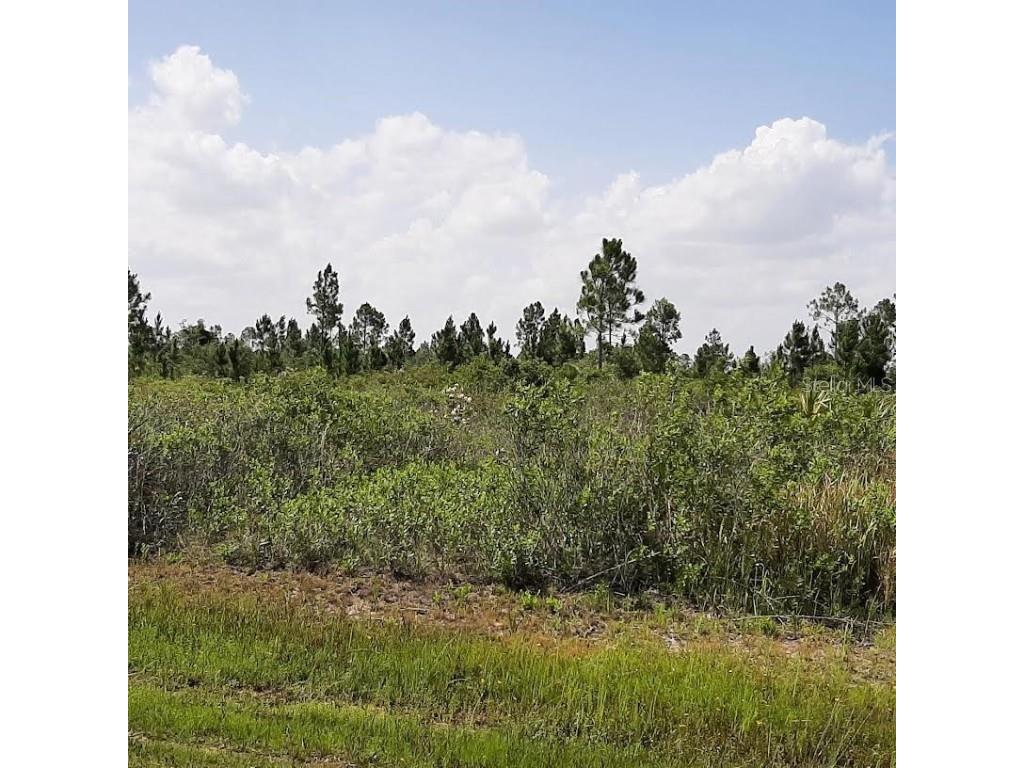 412 Calendula Drive Indian Lake Estates FL 33855 - LAKE WALK-IN-WATER TB8393933 image1