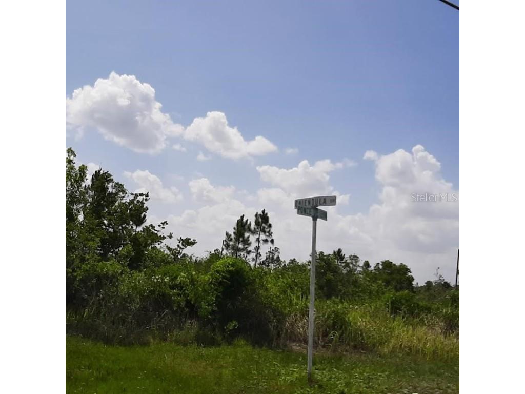 412 Calendula Drive Indian Lake Estates FL 33855 - LAKE WALK-IN-WATER TB8393933 image2