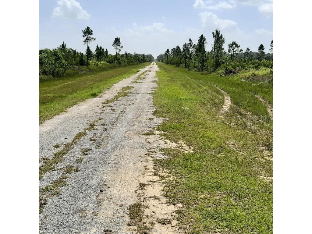 412 Calendula Drive Indian Lake Estates FL 33855 - LAKE WALK-IN-WATER TB8393933 image5