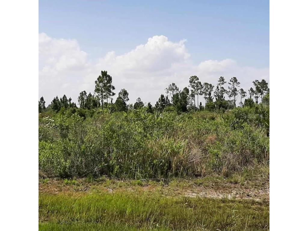 412 Calendula Drive Indian Lake Estates FL 33855 - LAKE WALK-IN-WATER TB8393933 image7