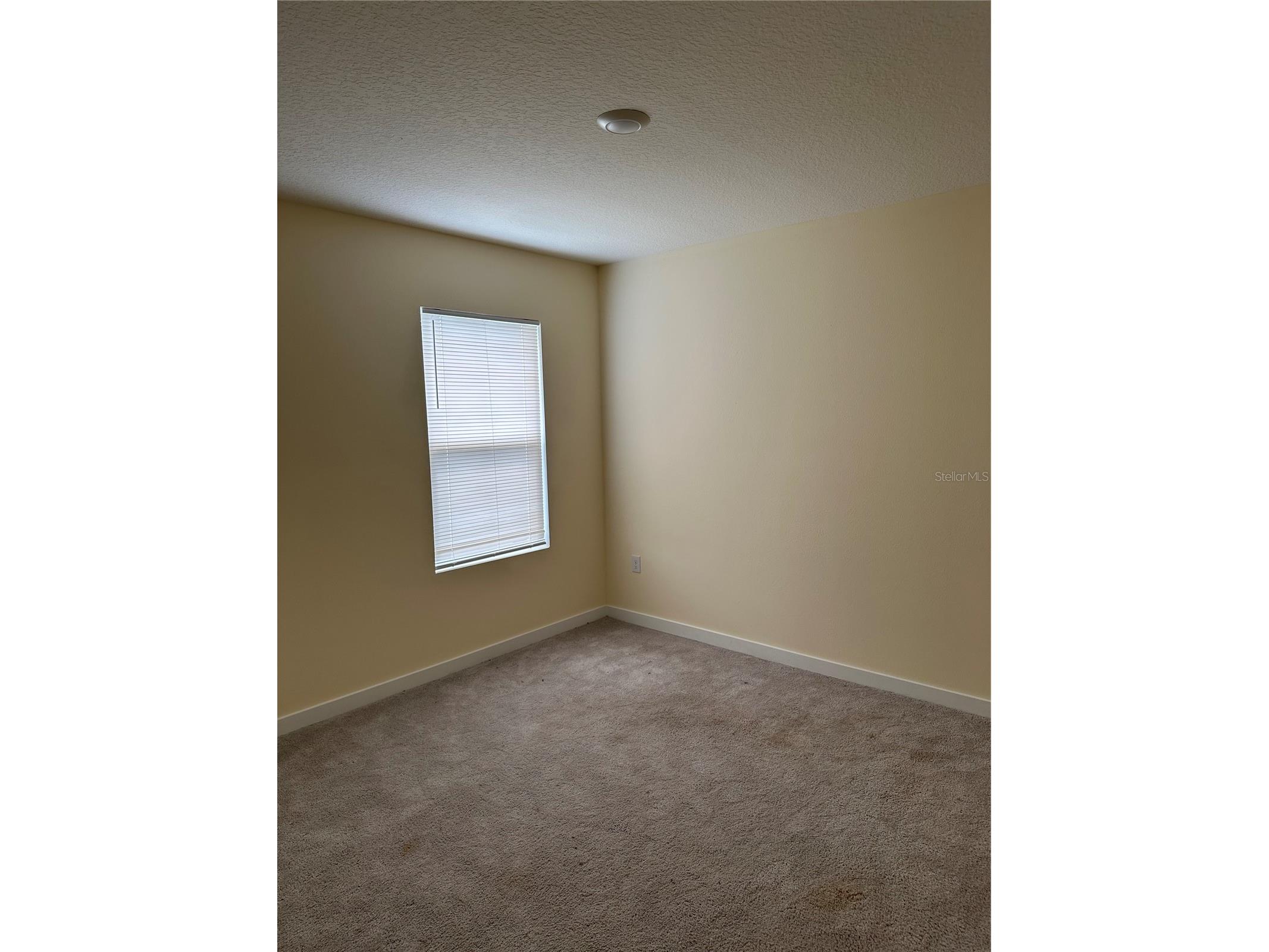 412 Chayne Place Saint Cloud FL 34771 S5149398 image13