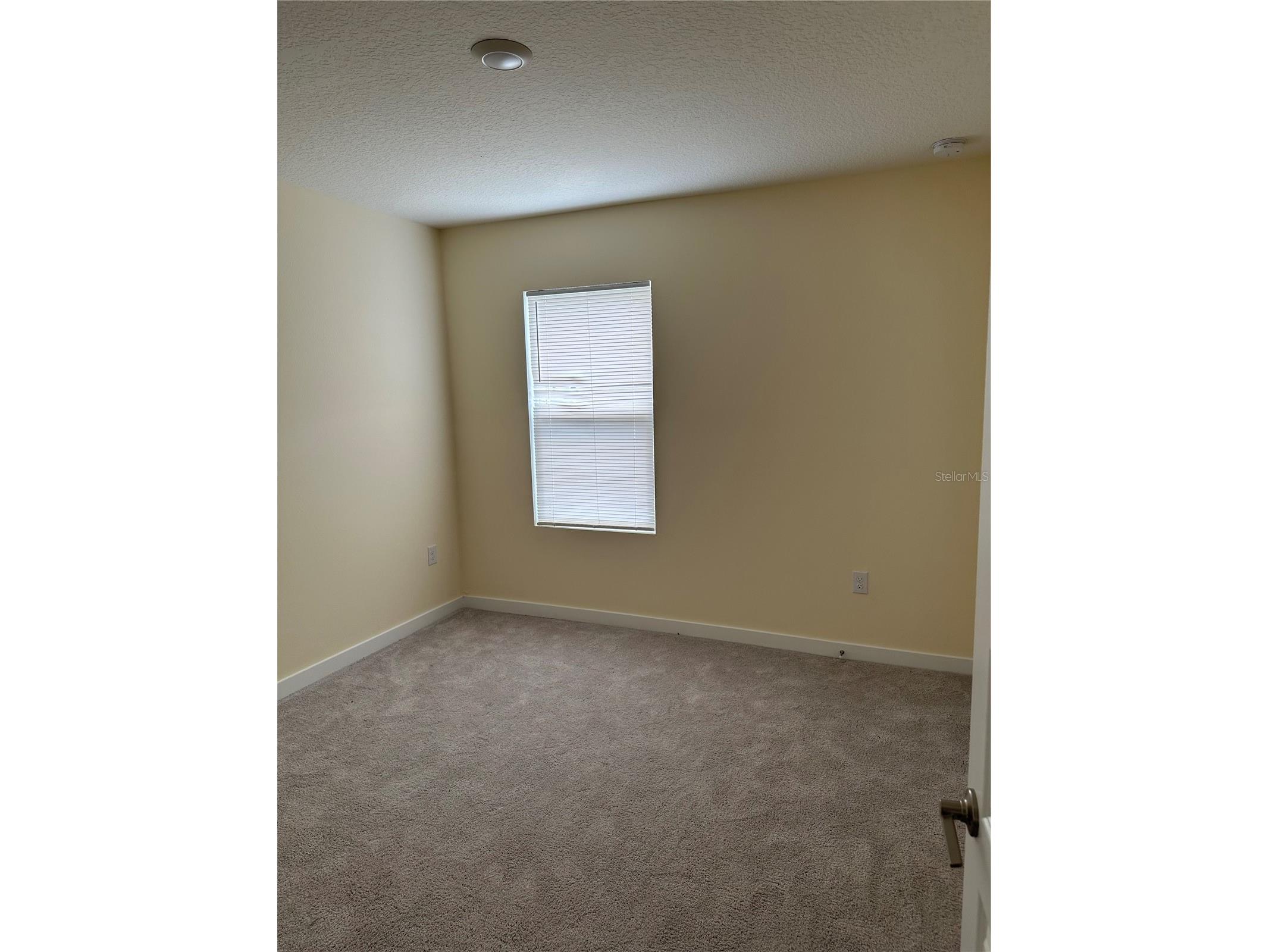 412 Chayne Place Saint Cloud FL 34771 S5149398 image18
