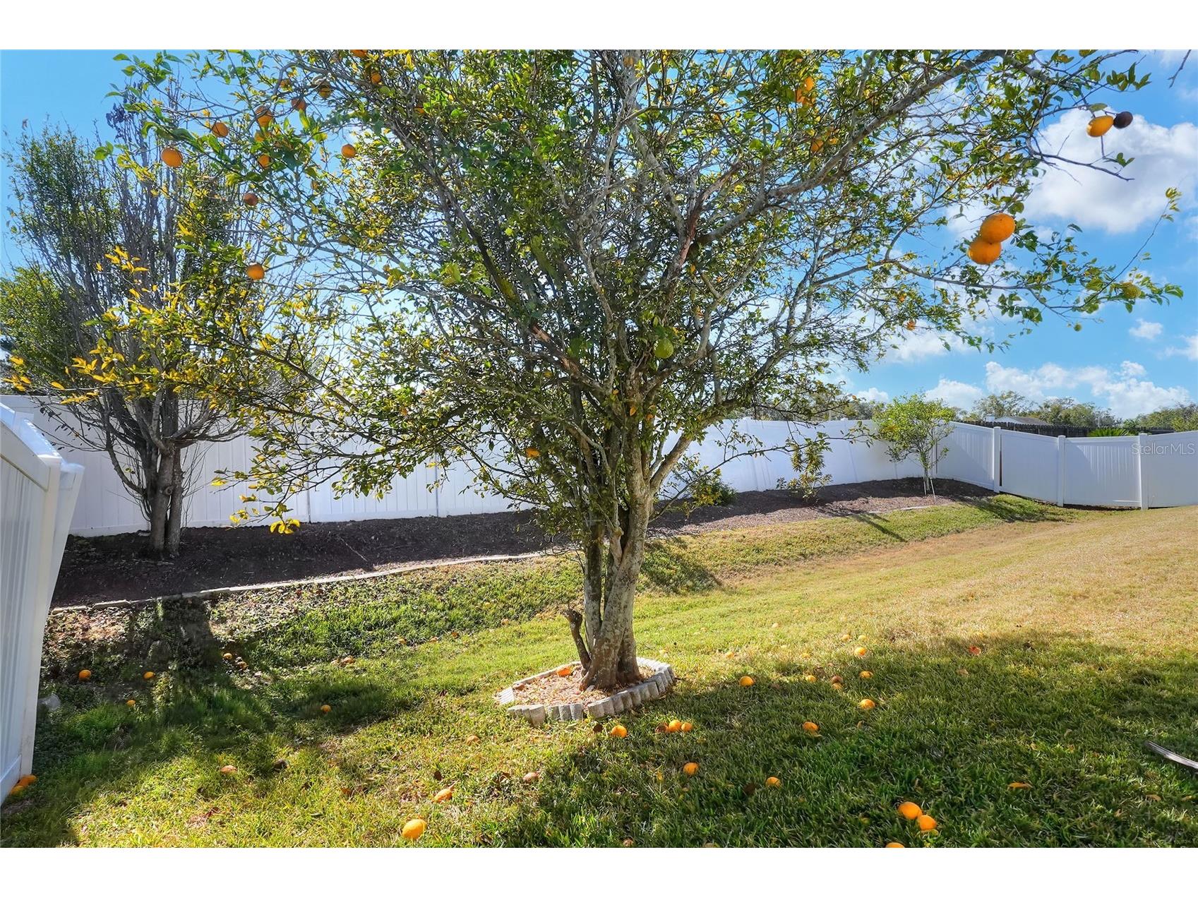 412 Emerald Cove Loop Lakeland FL 33813 L4958355 image40