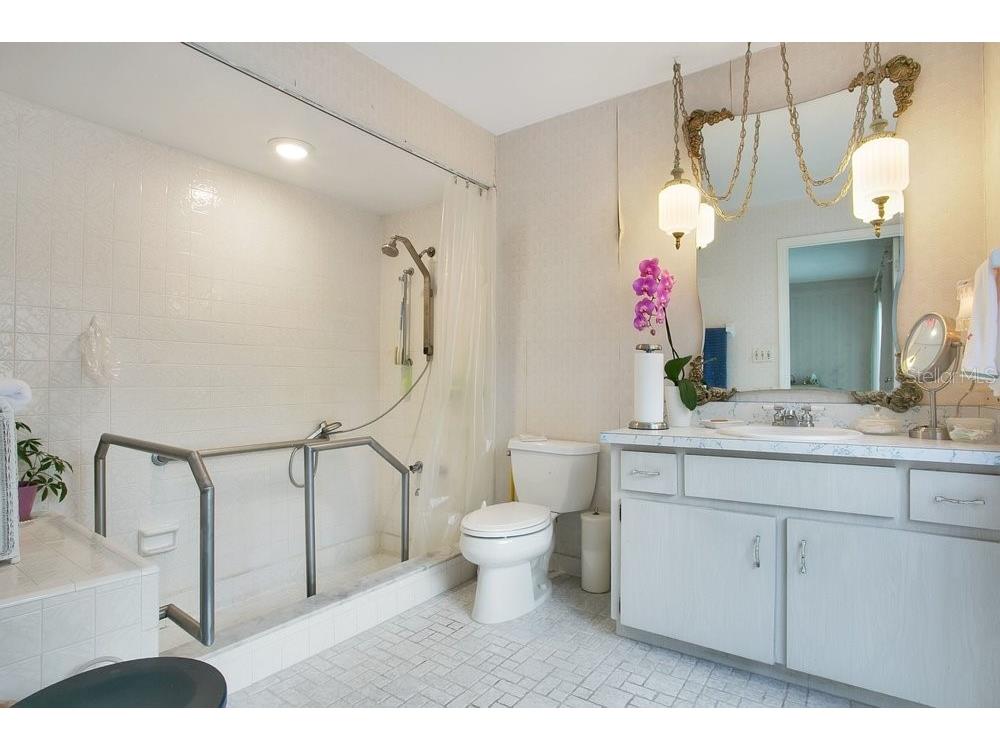 412 Forest Street Windermere FL 34786 - BUTLER CHAIN OF LAKES O6414200 image10