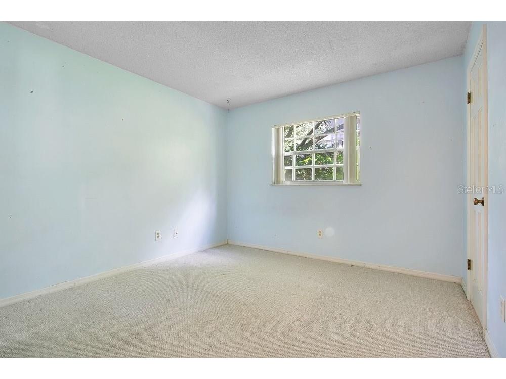 412 Forest Street Windermere FL 34786 - BUTLER CHAIN OF LAKES O6414200 image12