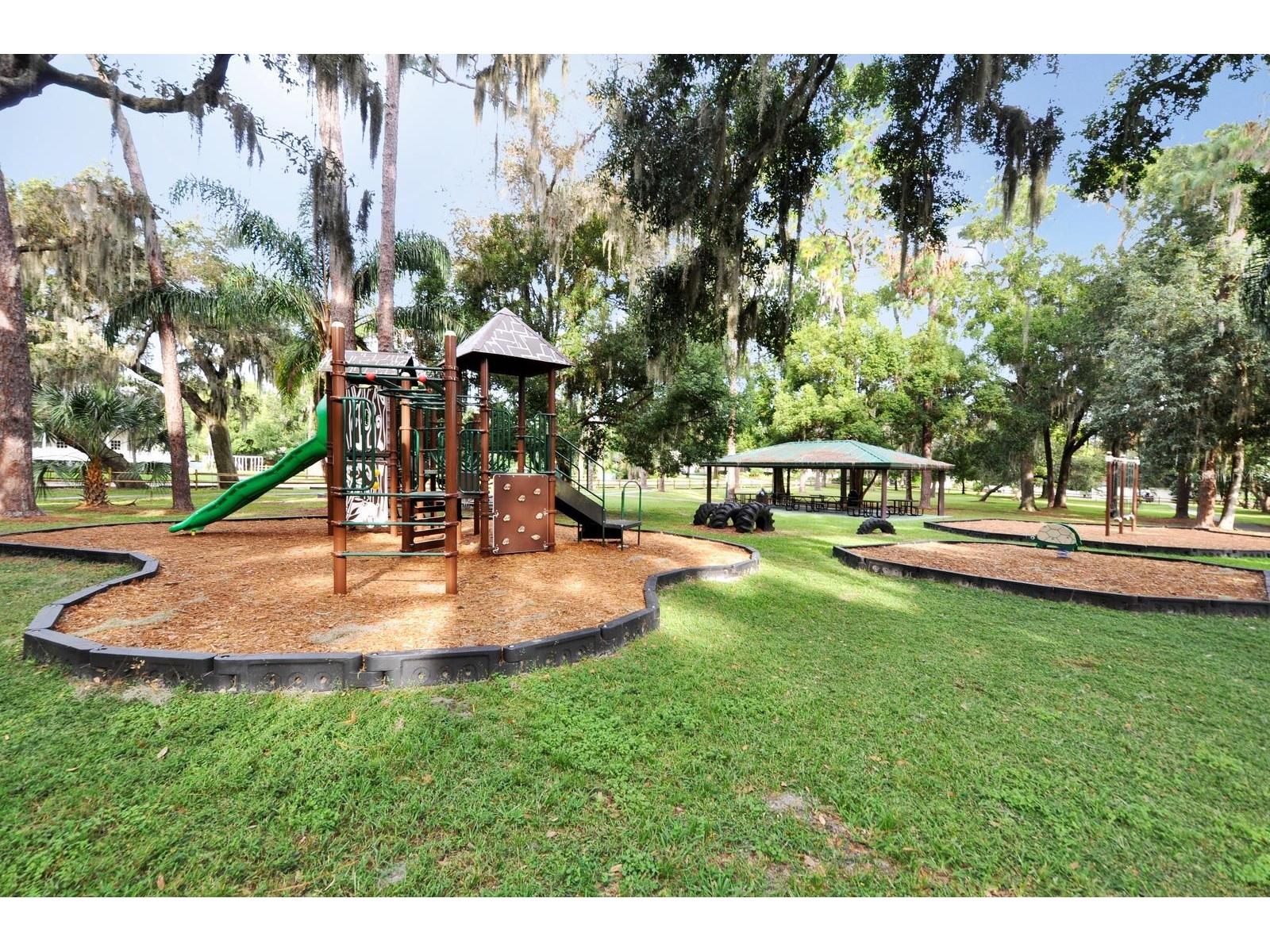 412 Forest Street Windermere FL 34786 - BUTLER CHAIN OF LAKES O6414200 image28