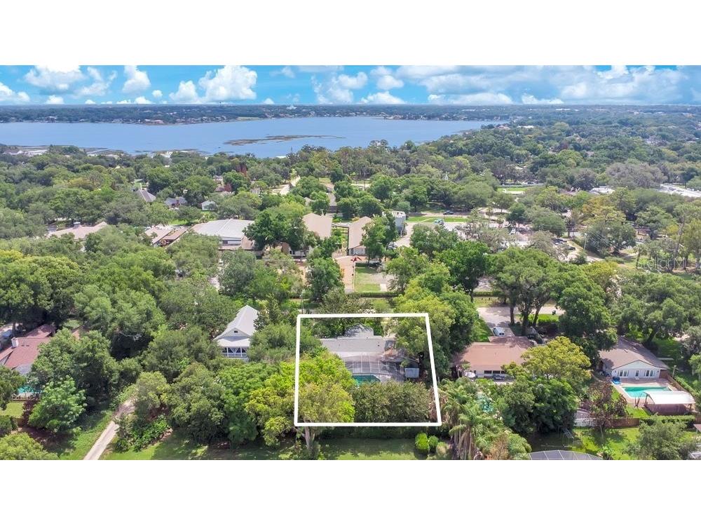 412 Forest Street Windermere FL 34786 - BUTLER CHAIN OF LAKES O6414200 image3