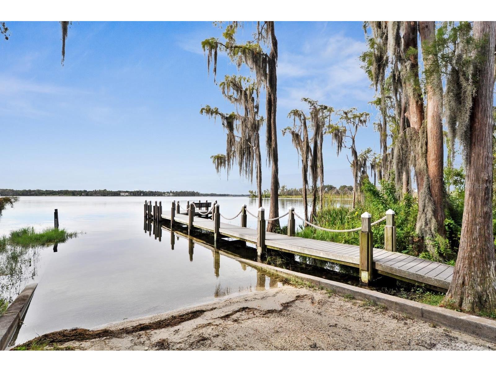 412 Forest Street Windermere FL 34786 - BUTLER CHAIN OF LAKES O6414200 image30