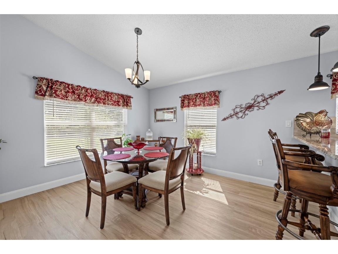 412 Mistwood Court Spring Hill FL 34609 TB8436281 image30