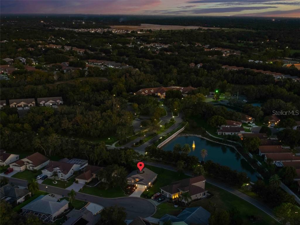 412 Mistwood Court Spring Hill FL 34609 TB8436281 image5