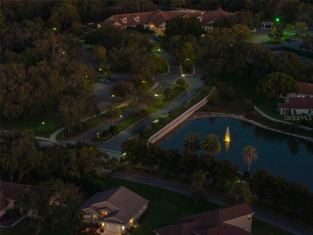 412 Mistwood Court Spring Hill FL 34609 TB8436281 image52