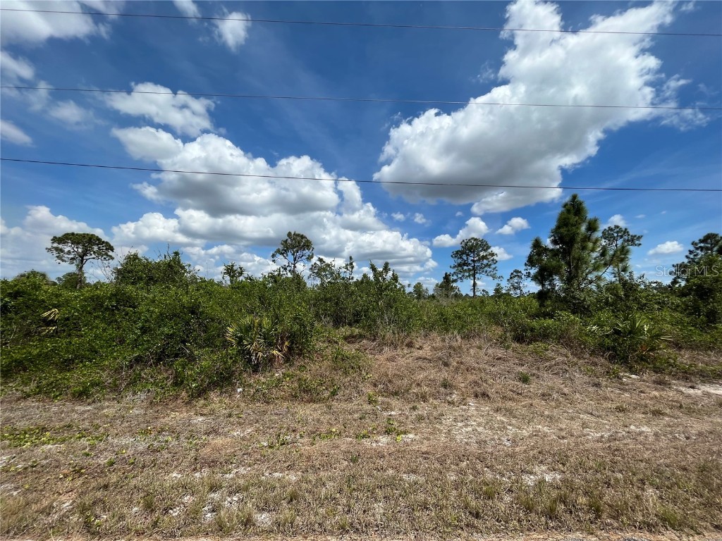 412 Monroe Avenue Lehigh Acres FL 33972 OK222708 image1