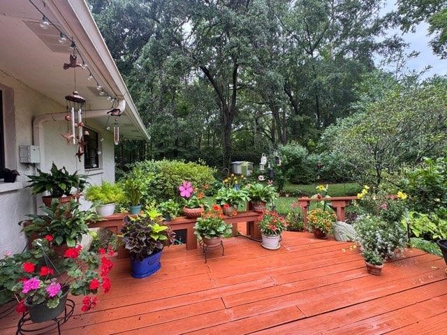 412 NW 46th Street Gainesville FL 32607 GC537658 image54