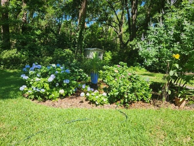 412 NW 46th Street Gainesville FL 32607 GC537658 image56