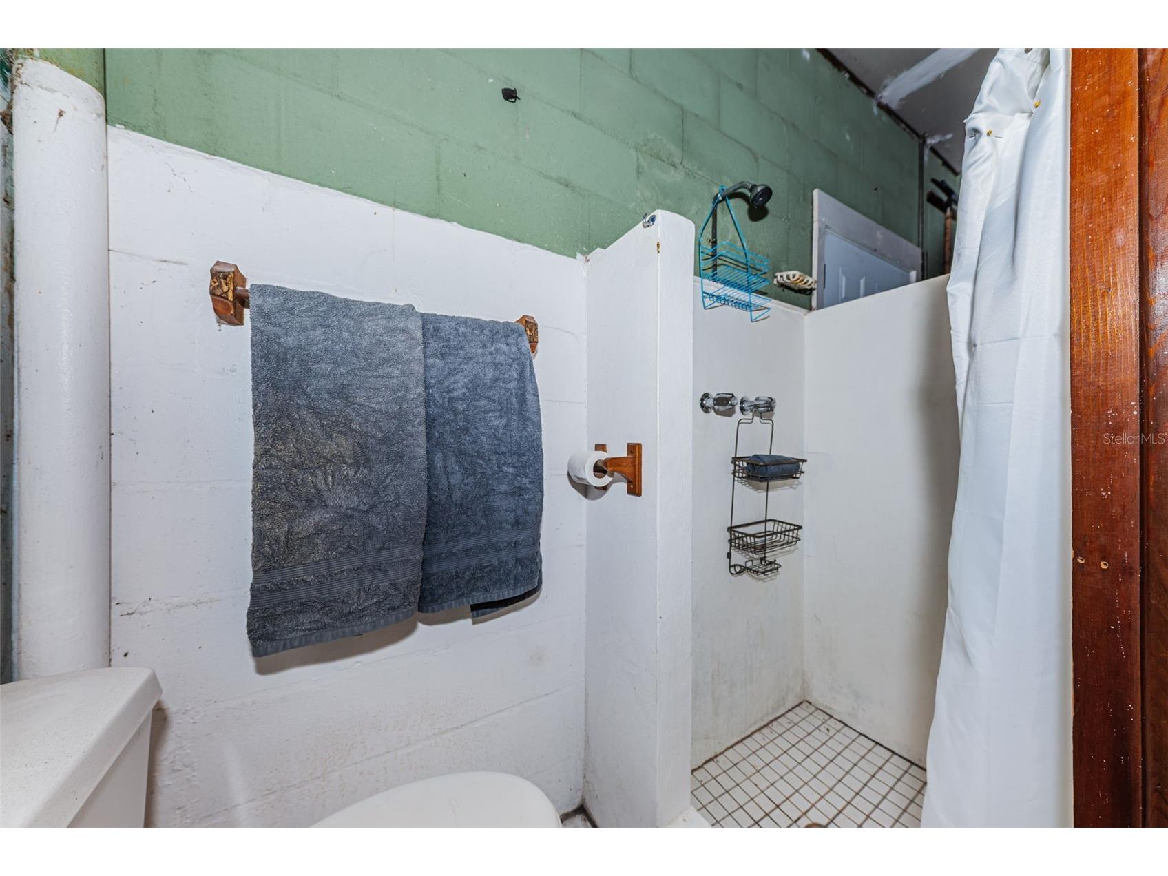 412 Pennsylvania Avenue Palm Harbor FL 34683 TB8521846 image26