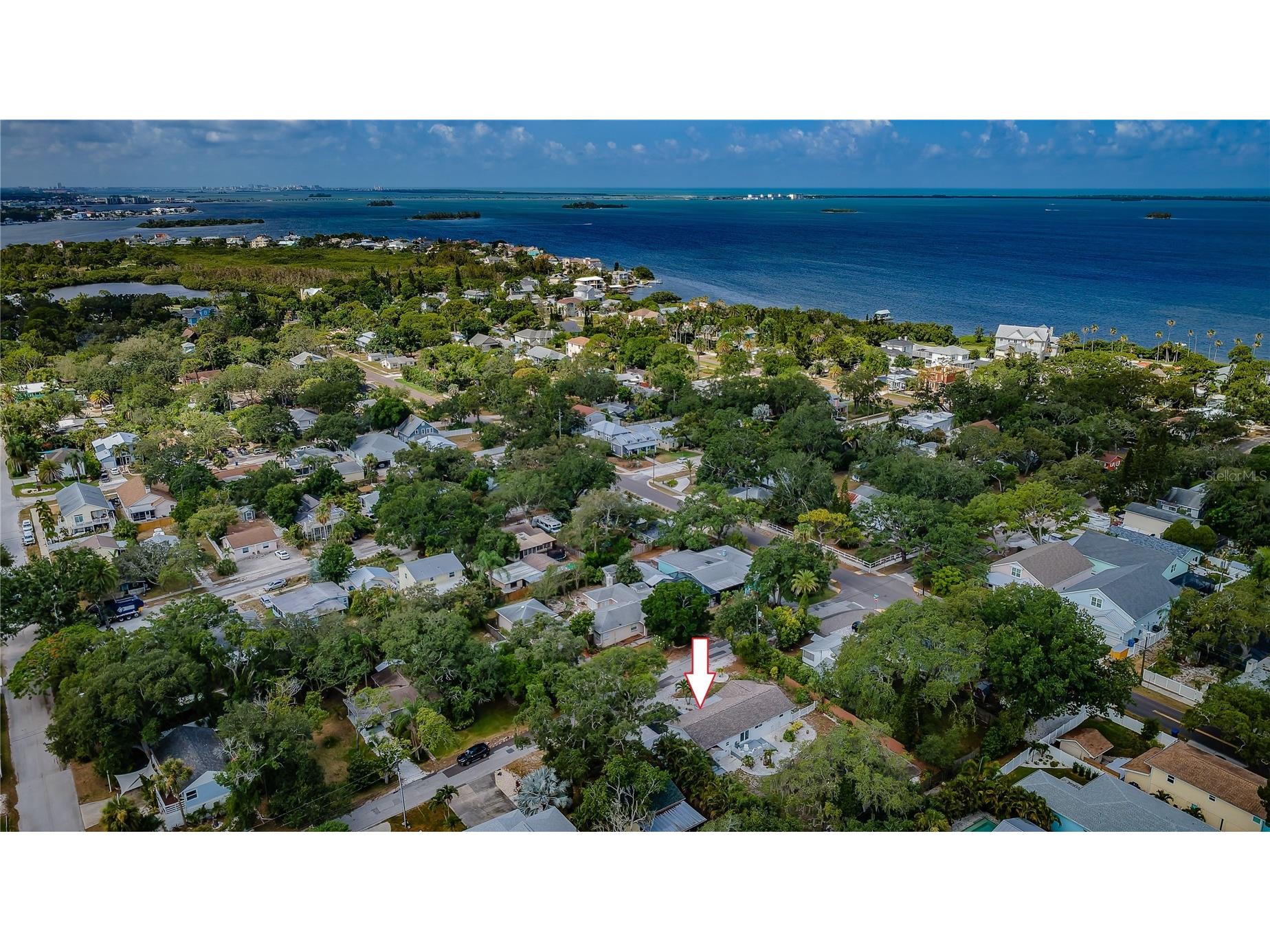 412 Pennsylvania Avenue Palm Harbor FL 34683 TB8521846 image29